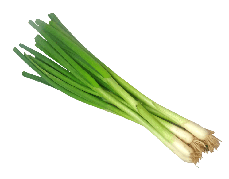Spring Onion